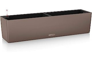 51obvCk3sgL._AC_UL320_